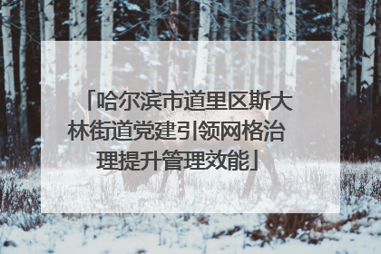 哈尔滨市道里区斯大林街道党建引领网格治理提升管理效能