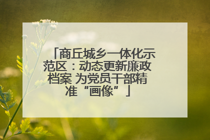 商丘城乡一体化示范区：动态更新廉政档案 为党员干部精准“画像”