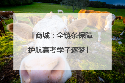 商城：全链条保障护航高考学子逐梦