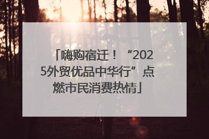 嗨购宿迁！“2025外贸优品中华行”点燃市民消费热情