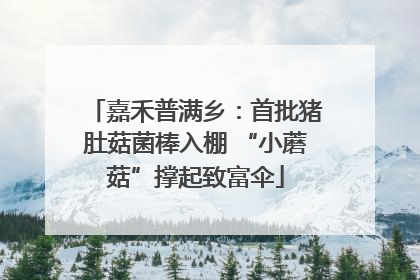 嘉禾普满乡：首批猪肚菇菌棒入棚 “小蘑菇”撑起致富伞