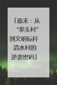 嘉禾：从“拳头村”到文明标杆 清水村的逆袭密码