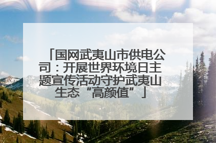 国网武夷山市供电公司：开展世界环境日主题宣传活动守护武夷山生态“高颜值”