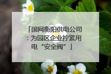 国网衡阳供电公司：为园区企业拧紧用电“安全阀”