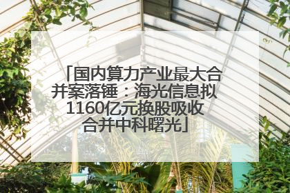 国内算力产业最大合并案落锤：海光信息拟1160亿元换股吸收合并中科曙光