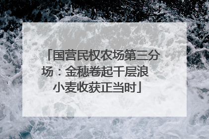 国营民权农场第三分场：金穗卷起千层浪 小麦收获正当时