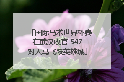 国际马术世界杯赛在武汉收官 547对人马飞跃英雄城