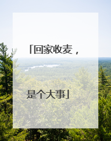 回家收麦，是个大事