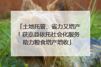 土地托管、省力又增产！获嘉县依托社会化服务助力粮食增产增收