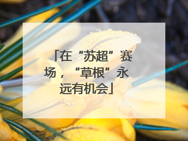 在“苏超”赛场，“草根”永远有机会