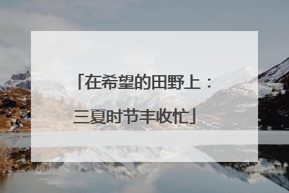 在希望的田野上：三夏时节丰收忙