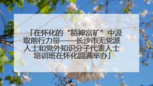 在怀化的“精神富矿”中汲取前行力量——长沙市无党派人士和党外知识分子代表人士培训班在怀化圆满举办