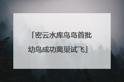 密云水库鸟岛首批幼鸟成功离巢试飞