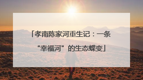 孝南陈家河重生记：一条“幸福河”的生态蝶变