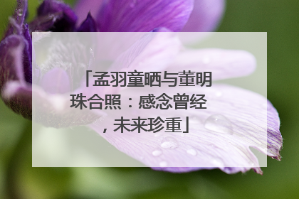 孟羽童晒与董明珠合照：感念曾经，未来珍重