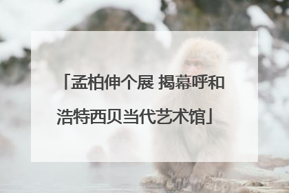 孟柏伸个展 揭幕呼和浩特西贝当代艺术馆