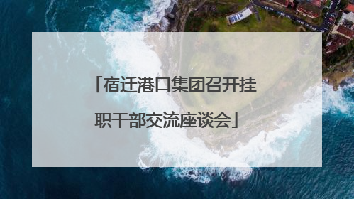 宿迁港口集团召开挂职干部交流座谈会