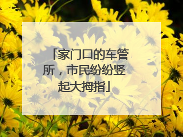 家门口的车管所，市民纷纷竖起大拇指