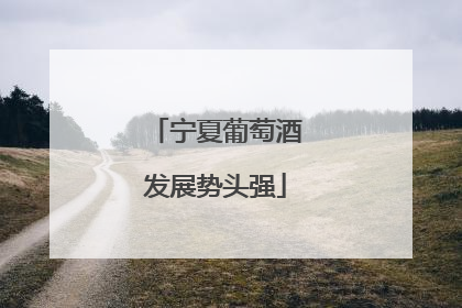 宁夏葡萄酒发展势头强