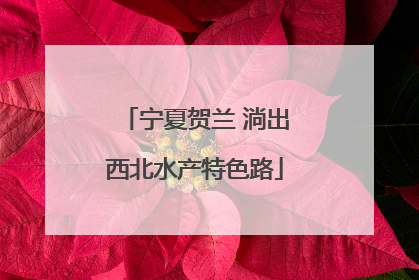 宁夏贺兰 淌出西北水产特色路