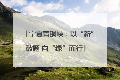 宁夏青铜峡：以“新”破题 向“绿”而行