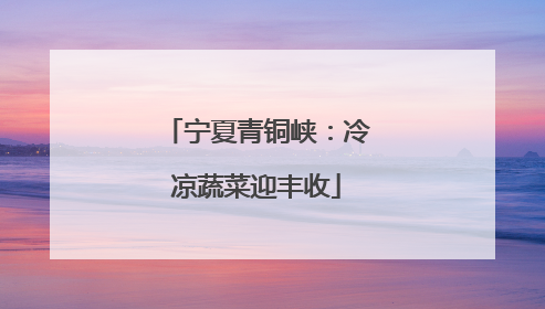 宁夏青铜峡：冷凉蔬菜迎丰收