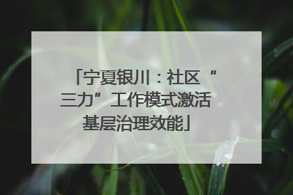 宁夏银川：社区“三力”工作模式激活基层治理效能