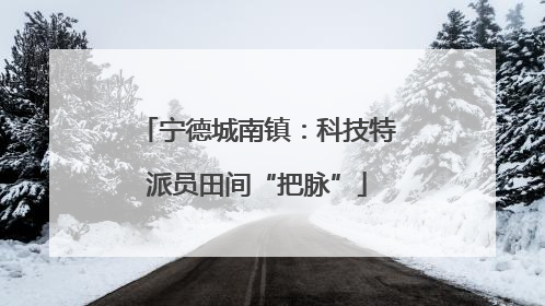 宁德城南镇：科技特派员田间“把脉”