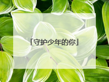 守护少年的你