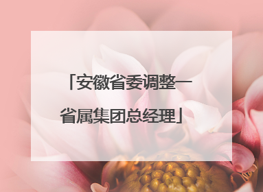 安徽省委调整一省属集团总经理