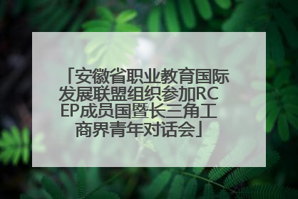 安徽省职业教育国际发展联盟组织参加RCEP成员国暨长三角工商界青年对话会