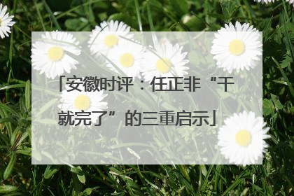 安徽时评：任正非“干就完了”的三重启示