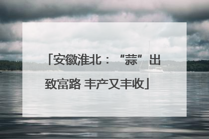 安徽淮北：“蒜”出致富路 丰产又丰收