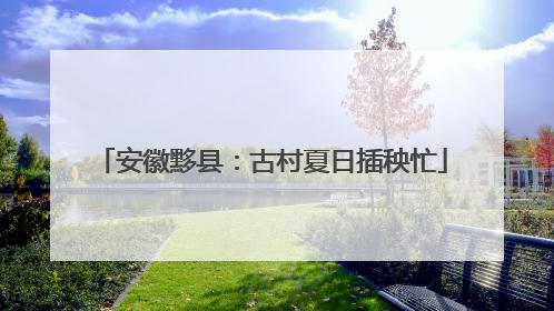 安徽黟县：古村夏日插秧忙