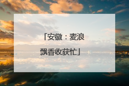安徽：麦浪飘香收获忙