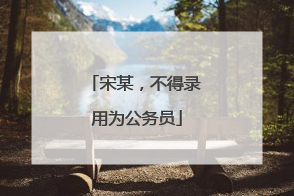 宋某，不得录用为公务员