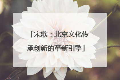 宋歌：北京文化传承创新的革新引擎