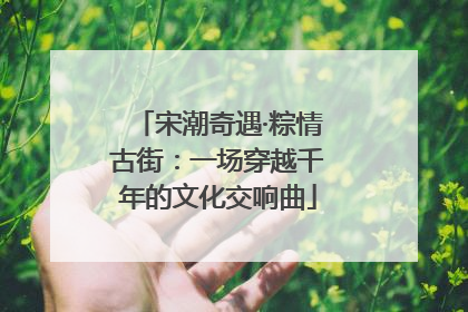 宋潮奇遇·粽情古街：一场穿越千年的文化交响曲