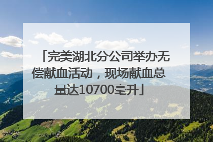 完美湖北分公司举办无偿献血活动，现场献血总量达10700毫升