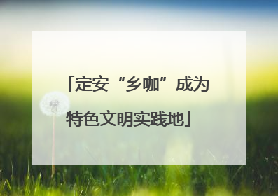 定安“乡咖”成为特色文明实践地