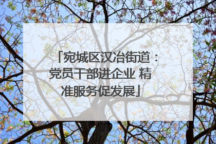 宛城区汉冶街道：党员干部进企业 精准服务促发展