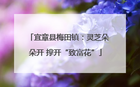 宜章县梅田镇：灵芝朵朵开 撑开“致富花”