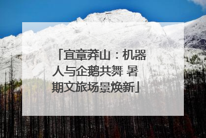 宜章莽山：机器人与企鹅共舞 暑期文旅场景焕新