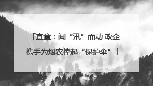 宜章：闻“汛”而动 政企携手为烟农撑起“保护伞”