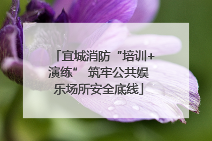 宜城消防“培训+演练” 筑牢公共娱乐场所安全底线