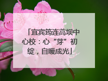 宜宾筠连蒿坝中心校：心“芽”初绽，自暖成光