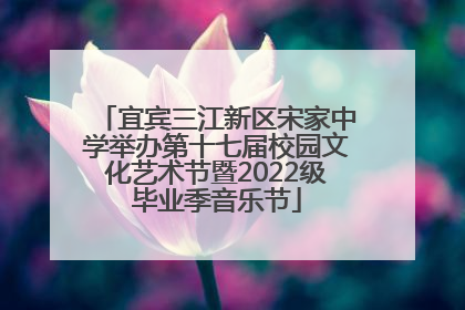 宜宾三江新区宋家中学举办第十七届校园文化艺术节暨2022级毕业季音乐节