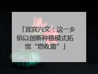 宜宾兴文：这一乡镇以创新种植模式拓宽“增收路”