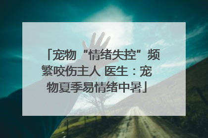 宠物“情绪失控”频繁咬伤主人 医生：宠物夏季易情绪中暑