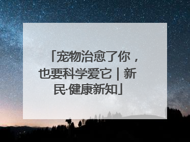 宠物治愈了你，也要科学爱它｜新民·健康新知